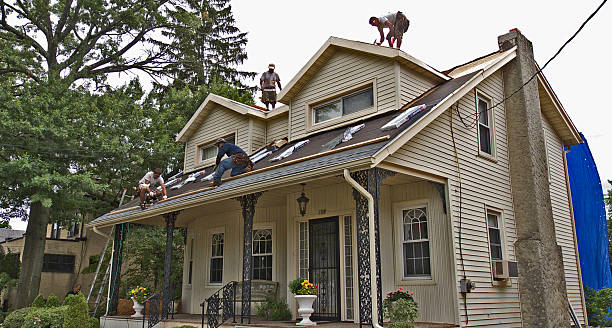 Best Roof Restoration Services  in Port Angeles, WA